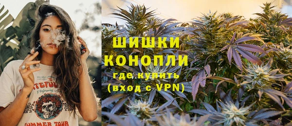 шишки Вязники
