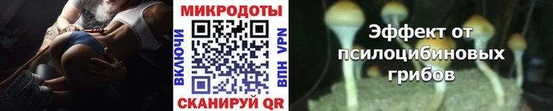 Галлюциногенные грибы GOLDEN TEACHER  Купить  Луховицы 